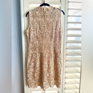 Gracia - BEAUTIFUL Lace nude mini dress - Large runs a little smaller.